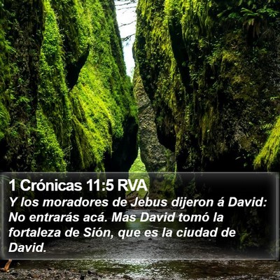 1 Crónicas 11:5 RVA Bible Verse Image