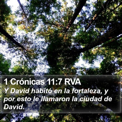 1 Crónicas 11:7 RVA Bible Verse Image