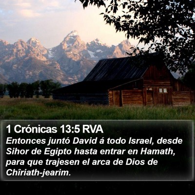 1 Crónicas 13:5 RVA Bible Verse Image