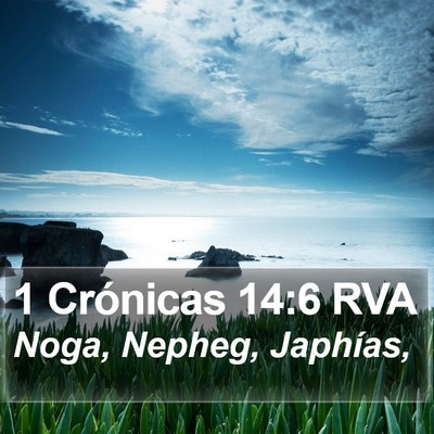1 Crónicas 14:6 RVA Bible Verse Image