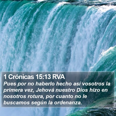 1 Crónicas 15:13 RVA Bible Verse Image