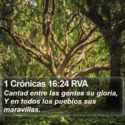 1 Crónicas 16:24 RVA Bible Verse Image