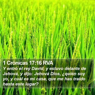 1 Crónicas 17:16 RVA Bible Verse Image