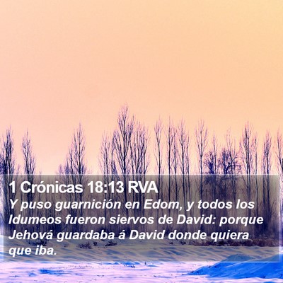 1 Crónicas 18:13 RVA Bible Verse Image
