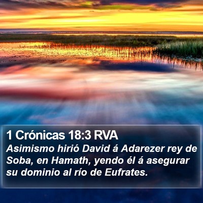 1 Crónicas 18:3 RVA Bible Verse Image