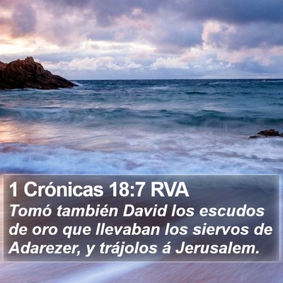 1 Crónicas 18:7 RVA Bible Verse Image