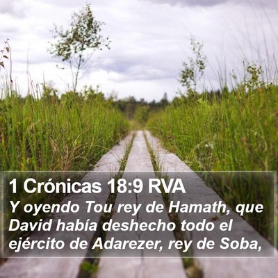 1 Crónicas 18:9 RVA Bible Verse Image