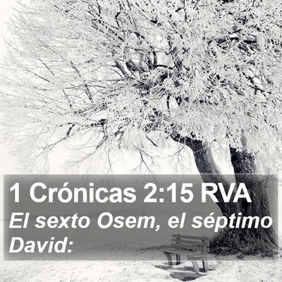 1 Crónicas 2:15 RVA Bible Verse Image