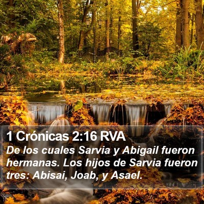 1 Crónicas 2:16 RVA Bible Verse Image