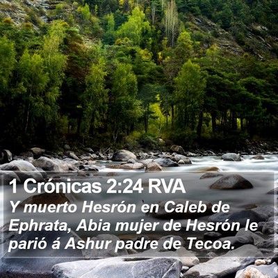 1 Crónicas 2:24 RVA Bible Verse Image