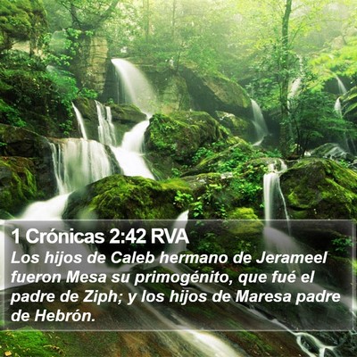 1 Crónicas 2:42 RVA Bible Verse Image