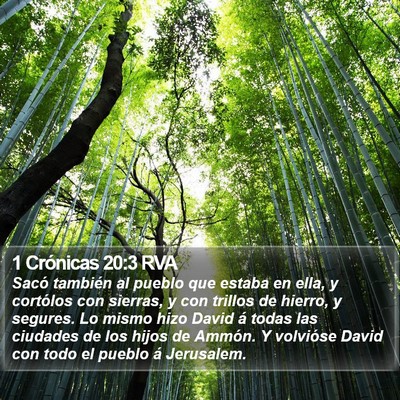 1 Crónicas 20:3 RVA Bible Verse Image