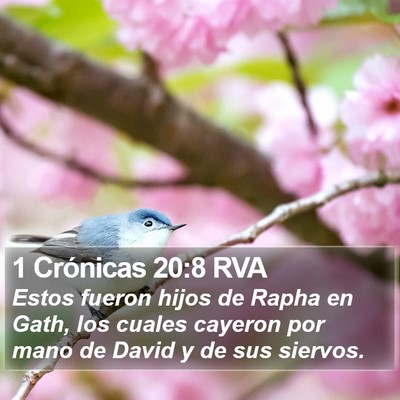 1 Crónicas 20:8 RVA Bible Verse Image