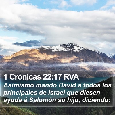 1 Crónicas 22:17 RVA Bible Verse Image
