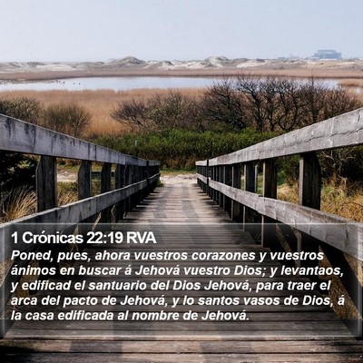 1 Crónicas 22:19 RVA Bible Verse Image