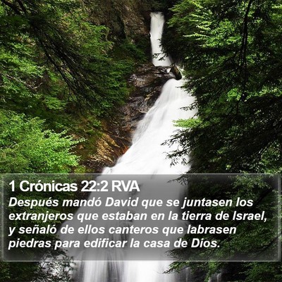 1 Crónicas 22:2 RVA Bible Verse Image