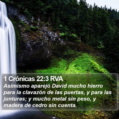 1 Crónicas 22:3 RVA Bible Verse Image