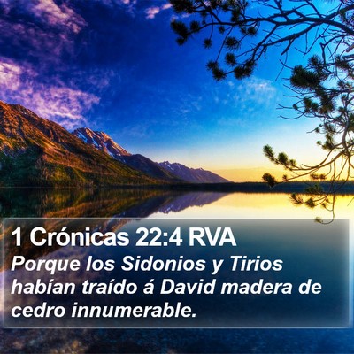 1 Crónicas 22:4 RVA Bible Verse Image