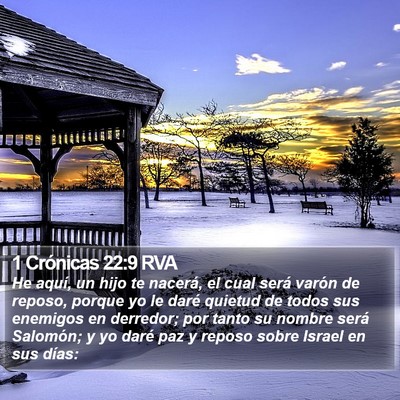 1 Crónicas 22:9 RVA Bible Verse Image