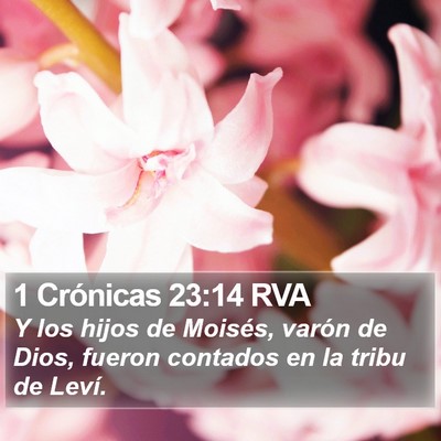 1 Crónicas 23:14 RVA Bible Verse Image