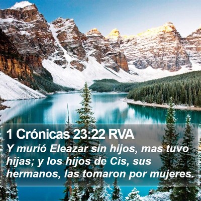 1 Crónicas 23:22 RVA Bible Verse Image