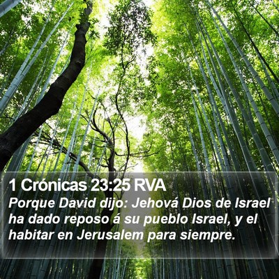 1 Crónicas 23:25 RVA Bible Verse Image