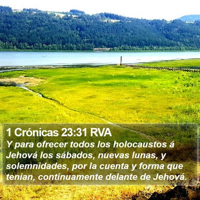 1 Crónicas 23:31 RVA Bible Verse Image