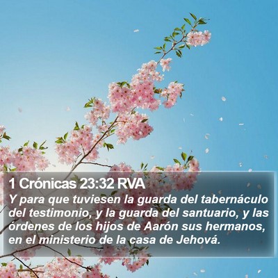 1 Crónicas 23:32 RVA Bible Verse Image