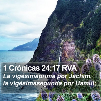 1 Crónicas 24:17 RVA Bible Verse Image