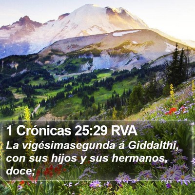 1 Crónicas 25:29 RVA Bible Verse Image