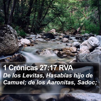 1 Crónicas 27:17 RVA Bible Verse Image