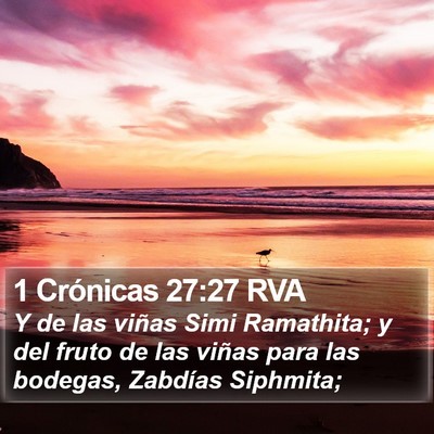 1 Crónicas 27:27 RVA Bible Verse Image