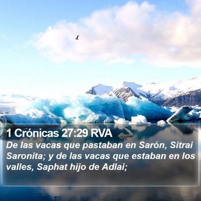1 Crónicas 27:29 RVA Bible Verse Image