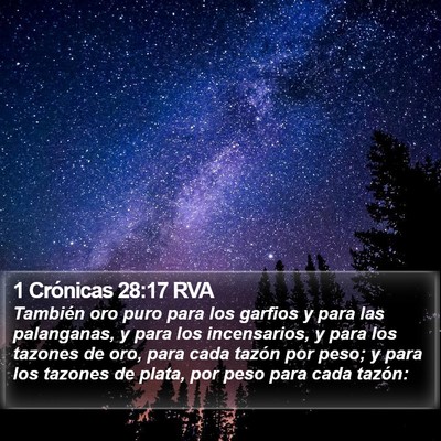 1 Crónicas 28:17 RVA Bible Verse Image