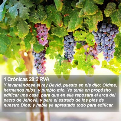 1 Crónicas 28:2 RVA Bible Verse Image