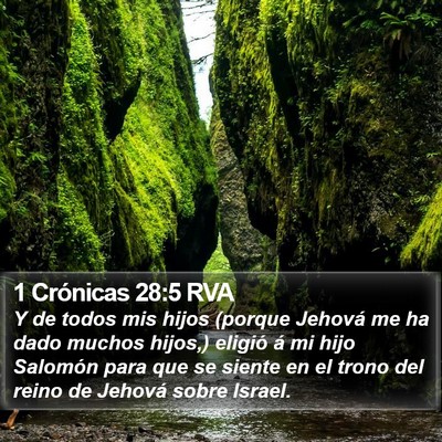 1 Crónicas 28:5 RVA Bible Verse Image
