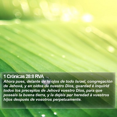 1 Crónicas 28:8 RVA Bible Verse Image