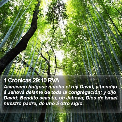 1 Crónicas 29:10 RVA Bible Verse Image
