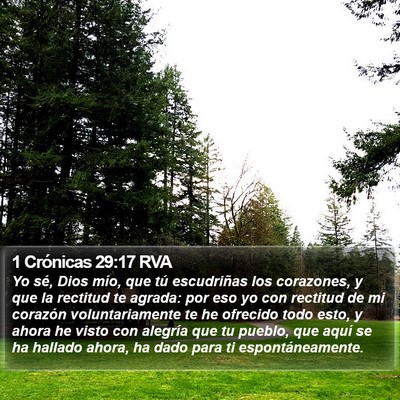 1 Crónicas 29:17 RVA Bible Verse Image
