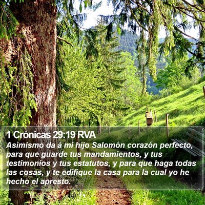 1 Crónicas 29:19 RVA Bible Verse Image