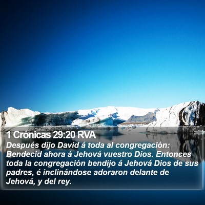 1 Crónicas 29:20 RVA Bible Verse Image