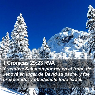 1 Crónicas 29:23 RVA Bible Verse Image