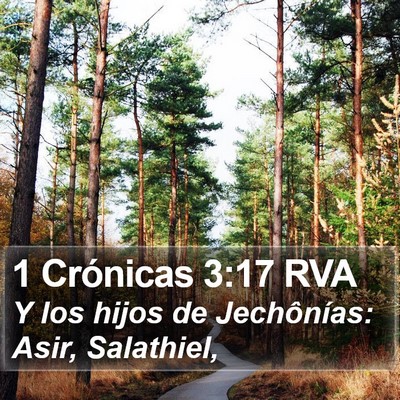 1 Crónicas 3:17 RVA Bible Verse Image