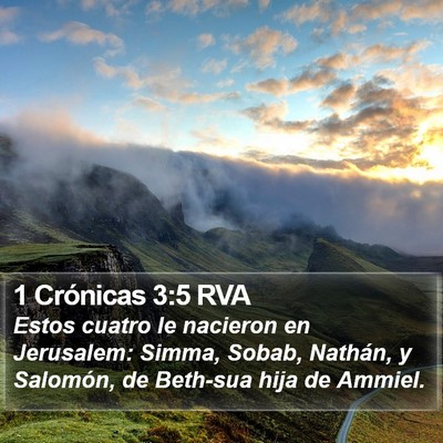 1 Crónicas 3:5 RVA Bible Verse Image
