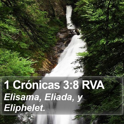 1 Crónicas 3:8 RVA Bible Verse Image
