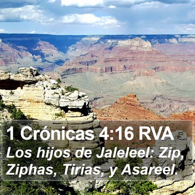 1 Crónicas 4:16 RVA Bible Verse Image