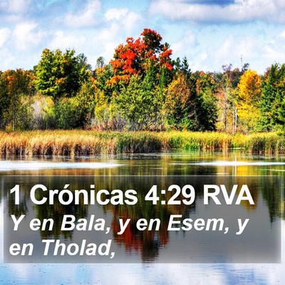 1 Crónicas 4:29 RVA Bible Verse Image