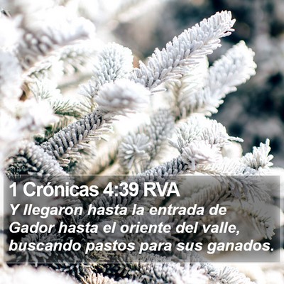 1 Crónicas 4:39 RVA Bible Verse Image