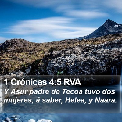 1 Crónicas 4:5 RVA Bible Verse Image
