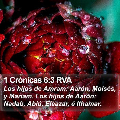 1 Crónicas 6:3 RVA Bible Verse Image